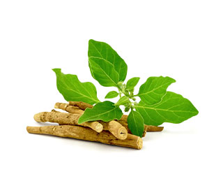 i-ashwagandha.jpg